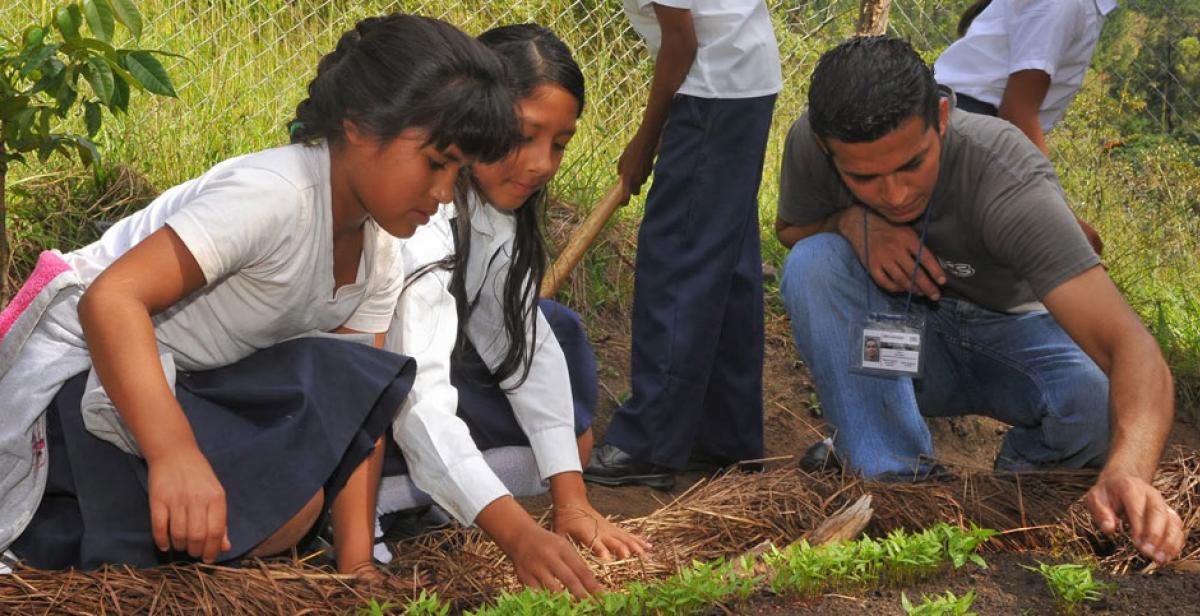 Volunteers planting in Dipilto, Nicaragua