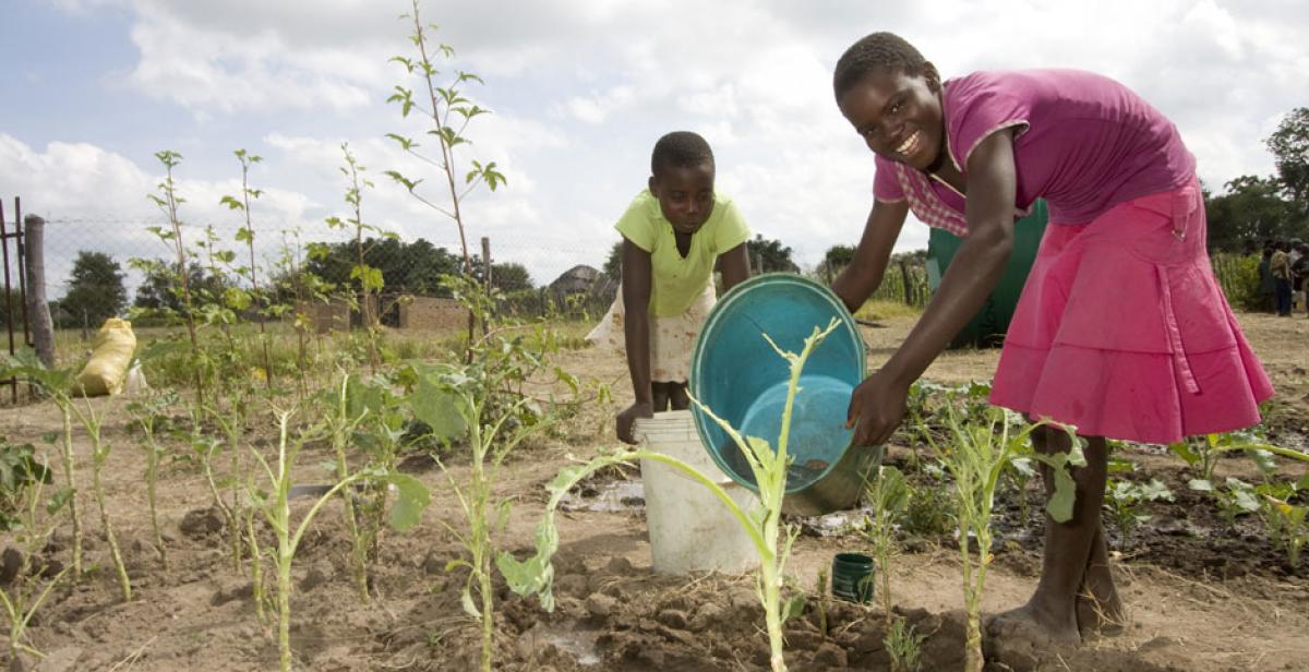 Girls at Kenilworth Junior Farmer Field School in Zimbabwe watering their crops