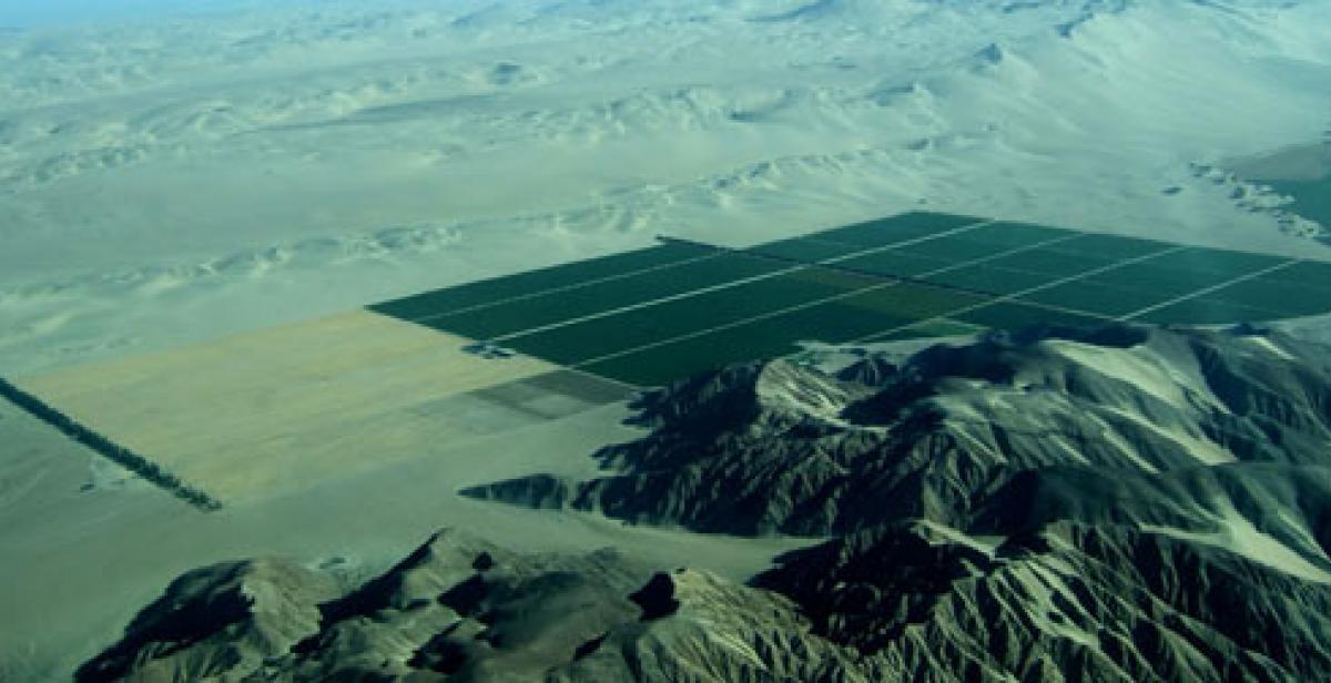 green agricultural fields stretch into the desert