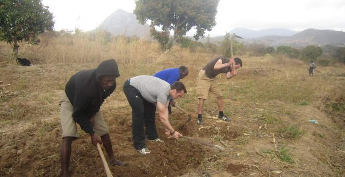 Volunteers ploughing a field