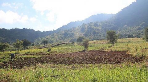  Fields in Kavizombo village