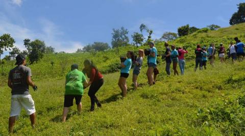 Collecting rocks for the bio-construction 