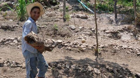 Luciano working in his farm