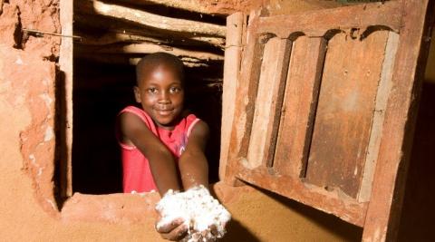 Maize &#039;porridge&#039; is the staple food in ZimFast and in everyday lives for most families in Zimbabwe