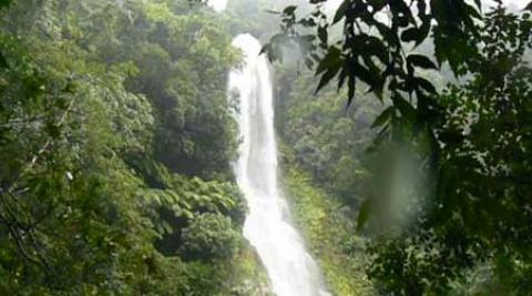 Vine Falls, Honduras.