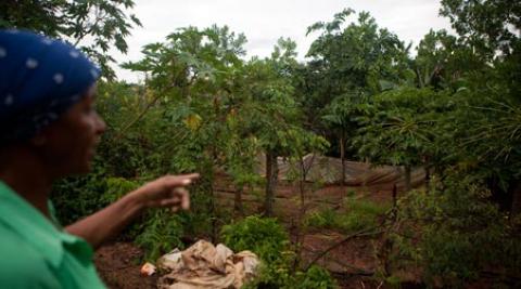 Farmer Amparo Jimenez showing her food garden