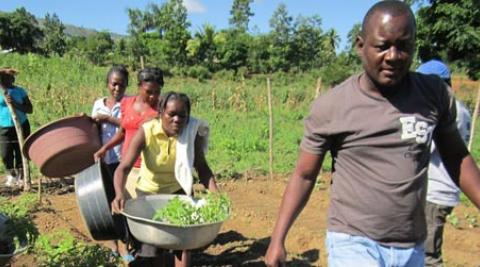 Gabriel Petit-Homme at Lamine demonstration garden