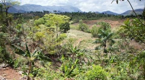 Haiti landscape