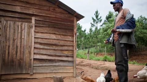 Oscar Eugenio Jimenéz on his farm