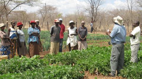 Women take part in an Environment Africa workshop, Zimbabwe