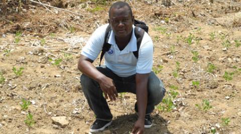 Gabriel Petit-Homme in field of peanut plants, northern Haiti
