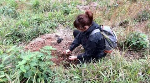 Amelia planting new trees to help combat soil erosion