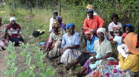 Farmers in Zimbabwe