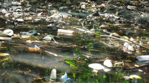 Progressio ICS, El Salvador, Litter, Santa Marta, Environment 