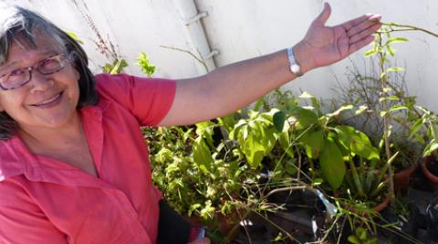 Maritza Arevalo shows off her urban farming