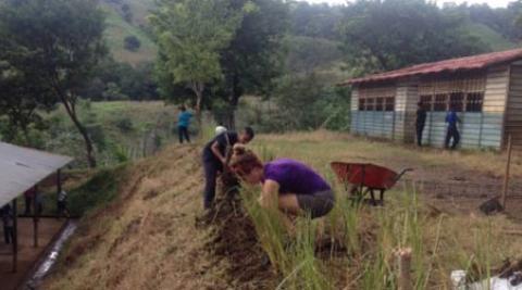 International and national ICS volunteers planting lemongrass (©Progressio)