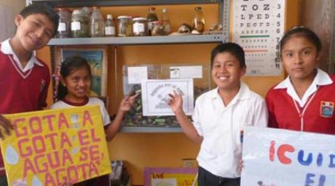 Children in province of Huarochirí, Peru, showing collection of batteries