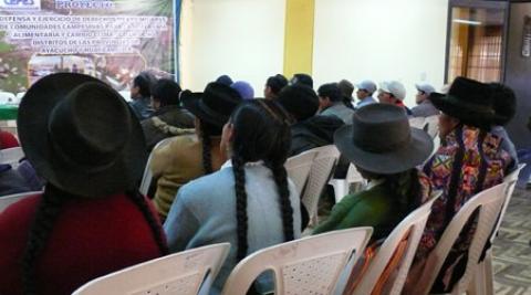 Indigenous people at a climate change seminar