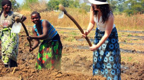 Women farming in Malawi