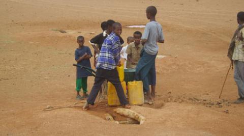 Somaliland: Boys collecting water at water hole