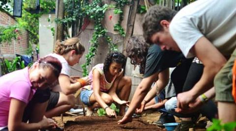 Volunteers planting seeds