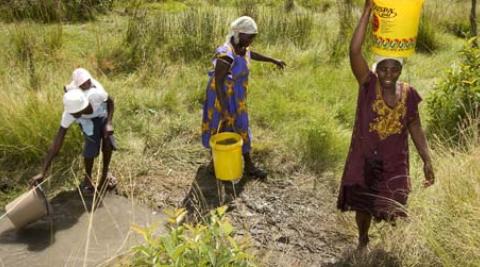 Women farmers in Wedza, Zimbabwe