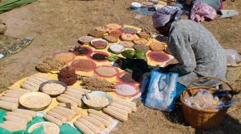 A woman selling produce at Chigondo market, Zimbabwe