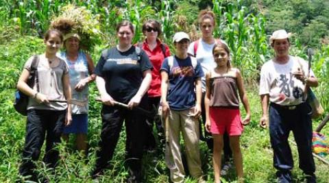 Empower volunteers on the cornfield