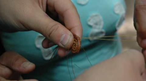Picture of hands making pine-needle crafts