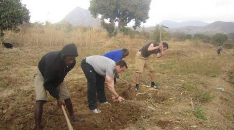 Volunteers ploughing a field