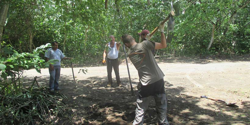 Volunteer Tom digging